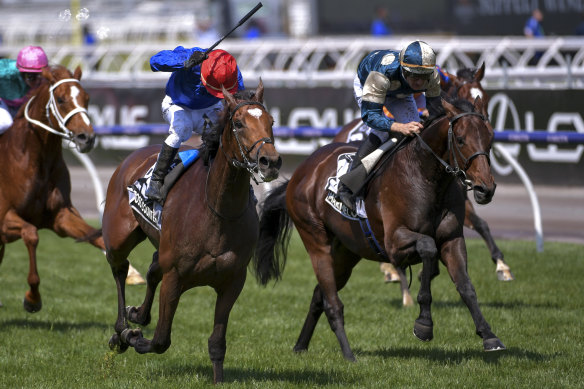 The 2018 Melbourne Cup winner Cross Counter (left).