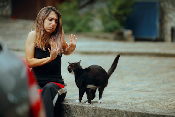 What’s so bad about a black cat?