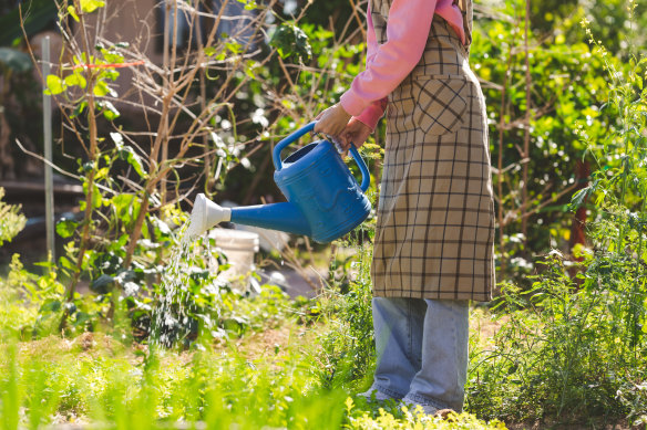 The choice of what to wear in the garden is as varied as the choice of what to plant.