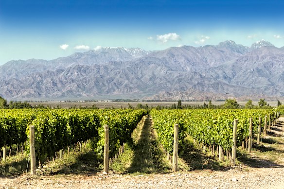 Mendoza, Argentina.
