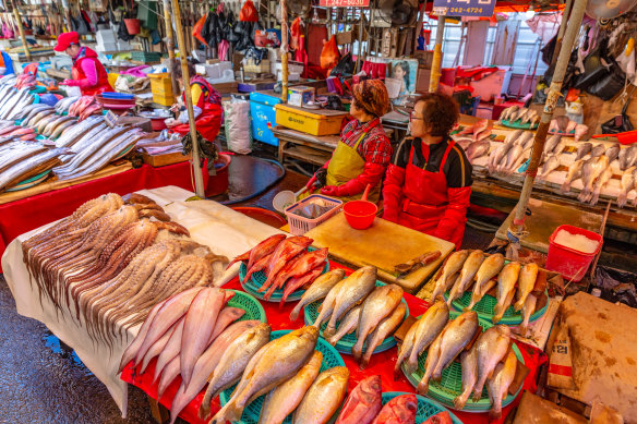 Busan’s Jagalchi Market.