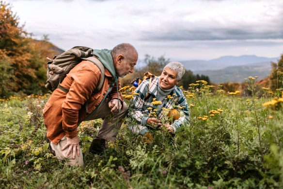 Our sense of smell diminishes with age – but it can be reversed.