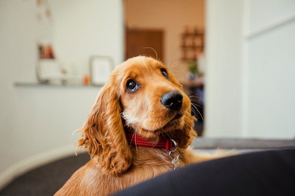 A face worth living longer for.