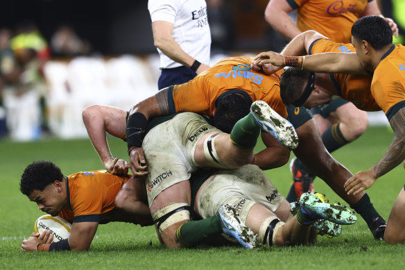 Hunter Paisami is brought down by the Springboks.