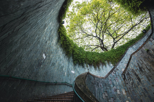 Up the stairs in Fort Canning Park, Singapore.