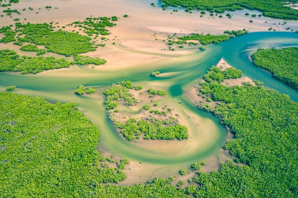 The lush and winding Saloum Delta in  Saloum Delta National Park.