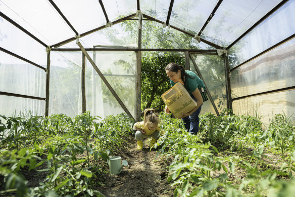 Greenhouses come in all different shapes and sizes.