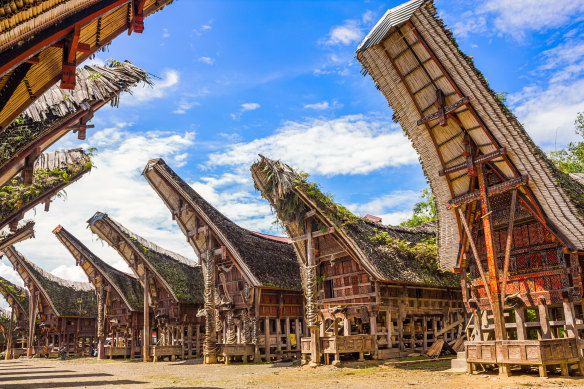 Traditional ancestral houses, Sulawesi.