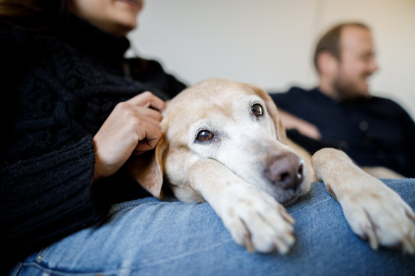 Till death do us part ... we’re spending more on pet cremations. 