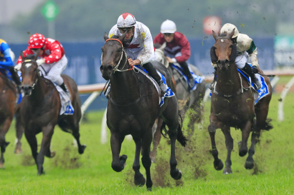 Sahra, right, runs second to North Pacific at Rosehill in July.  