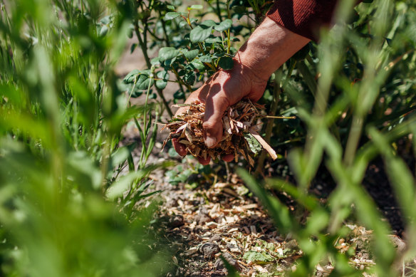 Applying mulch to your garden before you take off will stop the sun baking the soil surface.