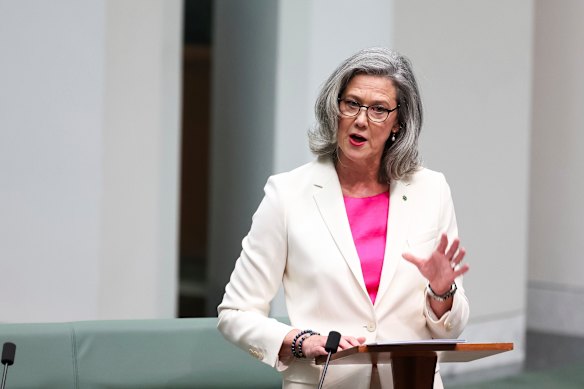 Nicolette Boele delivers her maiden speech to parliament on Monday.