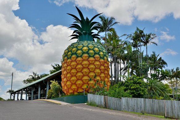 The Big Pineapple has several additional attractions around it. 