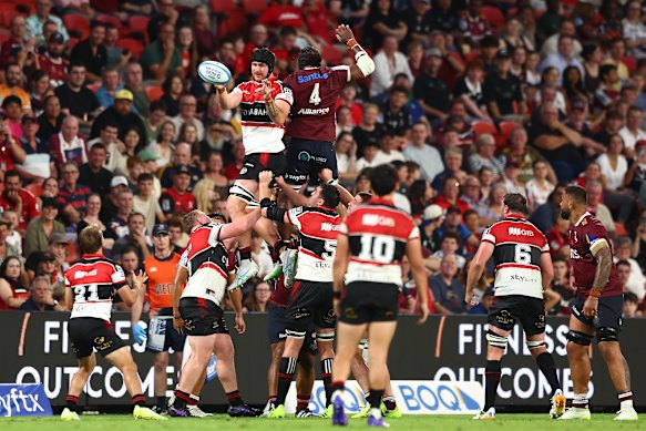 Rugby fans at the Crusader’s game against the Reds.