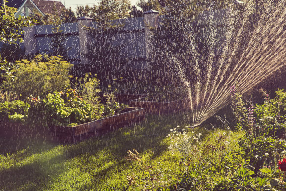 During light drizzle can be the best time to water your garden.