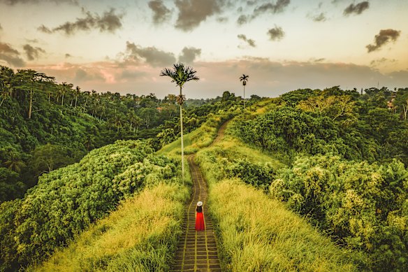 The Campuhan Ridge, a well-known nature trail in Ubud.