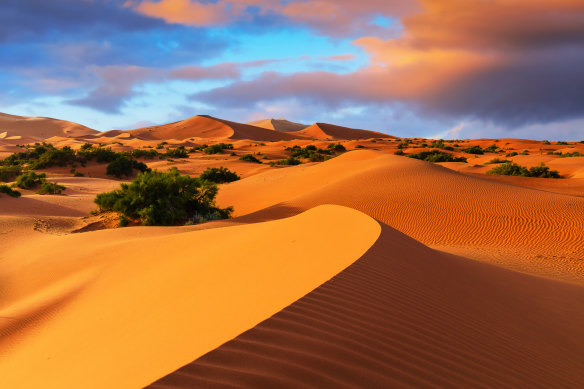 The Erg Chebbi sand dunes.