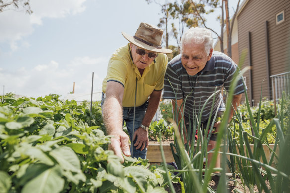 Gardening has been found to help connect people with their neighbours.