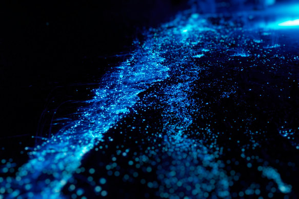 The water of Vaadhoo Island lights up with luminous plankton.