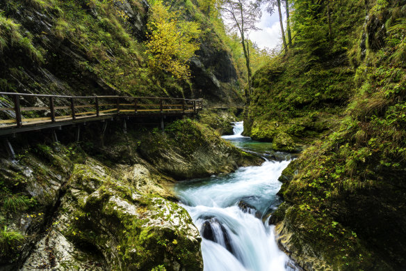 Autumn in Vintgar Gorge, Slovenia.