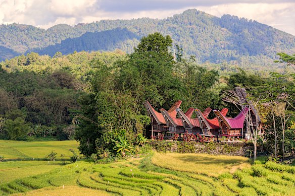 Traditional houses are a feature of Sulawesi. They are often used as both rice barns and homes.