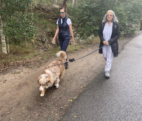 Mount Coot-tha bushwalkers Margaret Walton (left) and Julie Chance are pleased secret and open security cameras have been placed in the area after attacks on women.