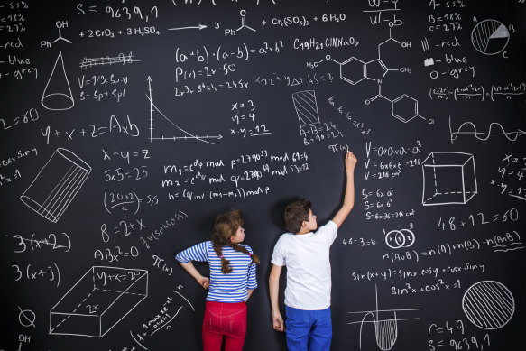 Experts have sounded the alarm over the growing maths gender gap.