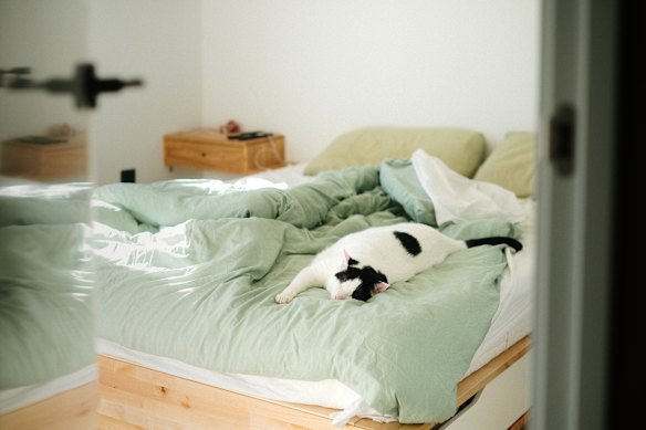 Adding a blanket for your pet to call their own can help protect your bedding. 