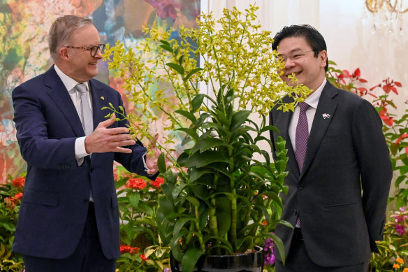 Australia’s Prime Minister Anthony Albanese is presented with the Dendrobium Anthony Albanese orchid by Singapore’s Deputy Prime Minister Lawrence Wong.
