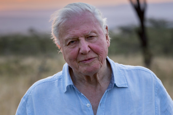 Sir David Attenborough said the 'moment of crisis has come'.
