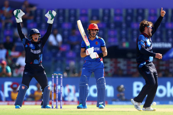 Zane Green and Nicol Loftie-Eaton of Namibia successfully appeal for the LBW of Rahmanullah Gurbaz of Afghanistan.