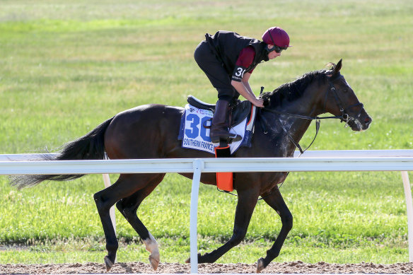 Southern France has drawn barrier 14 for Tuesday's Melbourne Cup. 