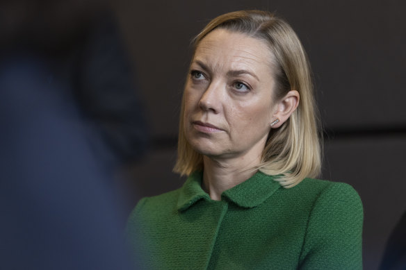 Opposition Leader Mia Davies says Mr McKechnie’s reappointment would be ‘tainted’.