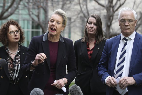 Nationals MP Anne Webster, senators Bridget McKenzie and Perin Davey, with MP Damian Drum addressing media after the party moved in the Senate to halt water recovery under the Murray Darling Basin Plan. 