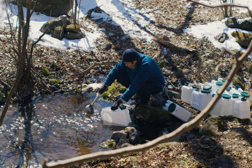 Movement in nature dominates the film’s imagery.