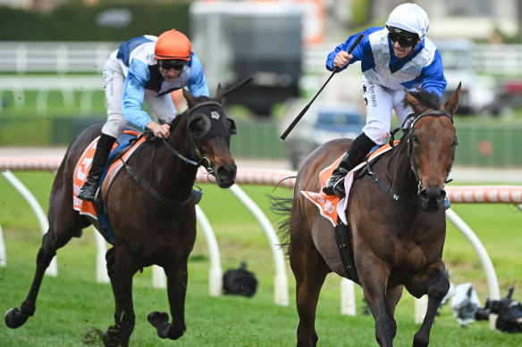 Tim Clark wins aboard Alligator Blood.