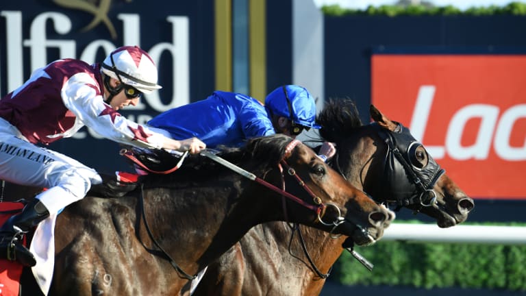 Nose in front: Jockey James Doyle takes the lead on Jungle Cat (right) at the last minute.