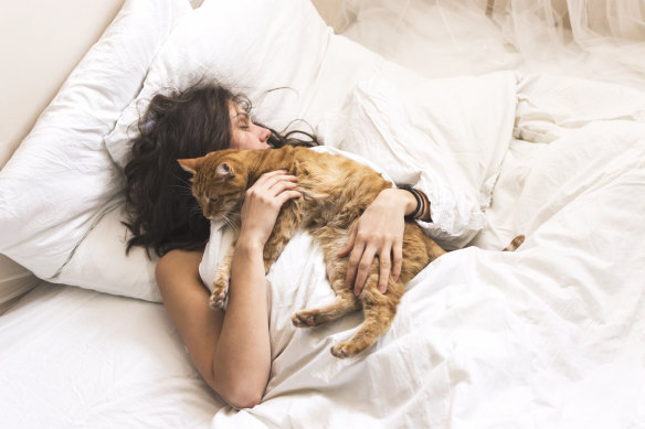 Why does my cat wake me up so early, and what can I do about it?