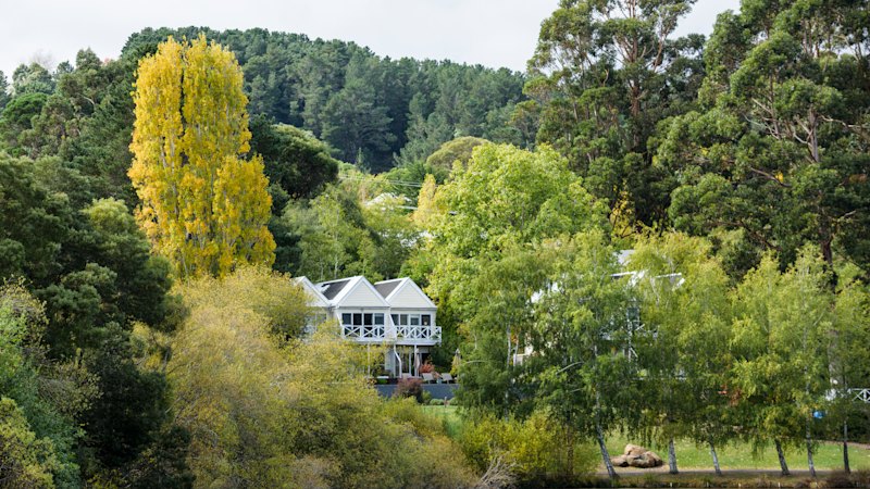 Dreaming of a tree change? What you need to know first