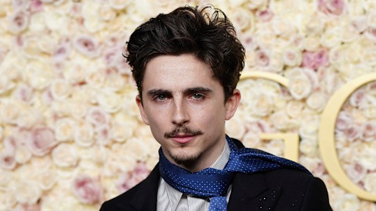 Timothée Chalamet 