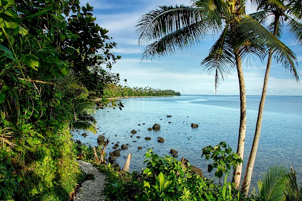 Ocean view along Lavena Costal Walk on Taveuni Island, Fiji. 