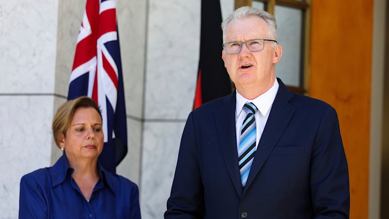 Man charged over swastika swords to be deported as Labor drafts tougher laws