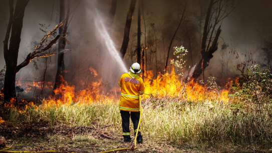 A New South Wales (NSW) Rural Fire Service volunteer douses a fire during back-burning operations in bushland near the town of Kulnura, New South Wales, Australia, on Thursday, Dec. 12, 2019. The smoke blanketing Sydney is a “public health emergency,” according to a coalition of Australian doctors and researchers who say climate change has helped fuel the wildfires that have produced unprecedented haze. Photographer: David Gray/Bloomberg .