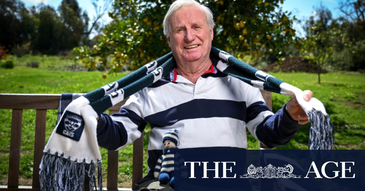 AFL grand final: Geelong fans, new residents prepare for Cats match against Sydney Swans - Vimarsana News
