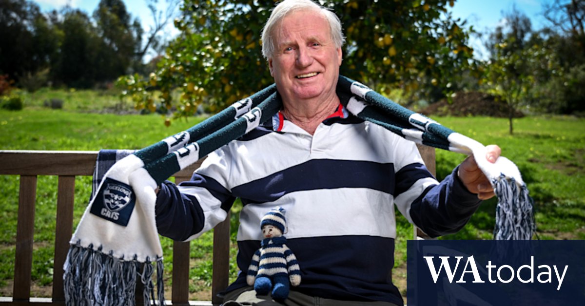 AFL grand final: Geelong fans, new residents prepare for Cats match against Sydney Swans - Vimarsana News