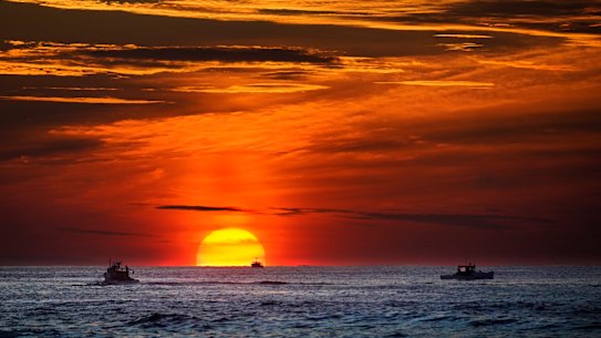 The exceptionally warm oceans are making heat waves worse, disrupting marine life and destroying coral reefs.