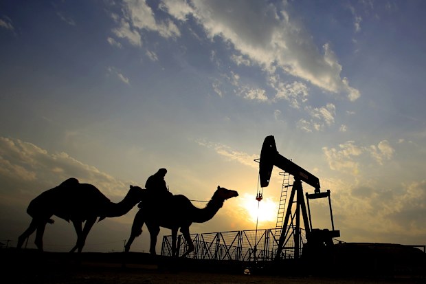 A man rides a camel through the desert oil field and winter camping area of Sakhir, Bahrain.