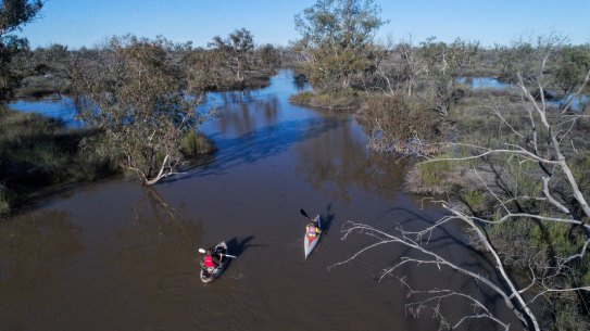 Peter Berney, a National Parks and Wildlife Service ecologist leads a visitor through the part of the Back Lake in the Narran Lakes complex of northern NSW.