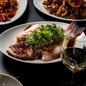 Steamed coral trout with ginger and shallot.