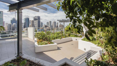 The rooftop of the Queensland Common Ground development. 